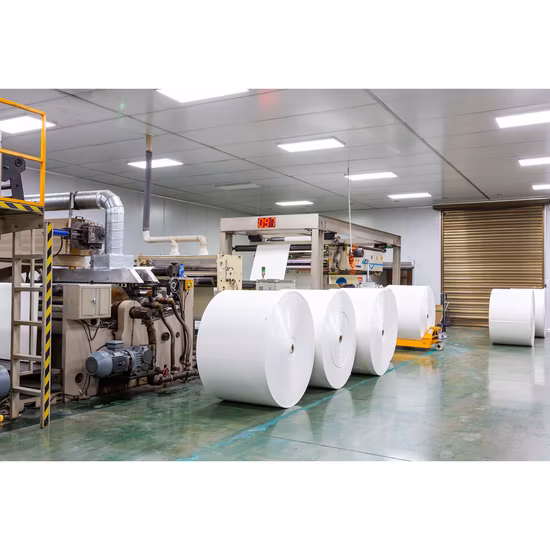 Бамбуковое волокно, пригодное для вторичной переработки, разлагаемая чашка, посуда для ужина, вечерние обеда, экологически чистые материалы, посуда